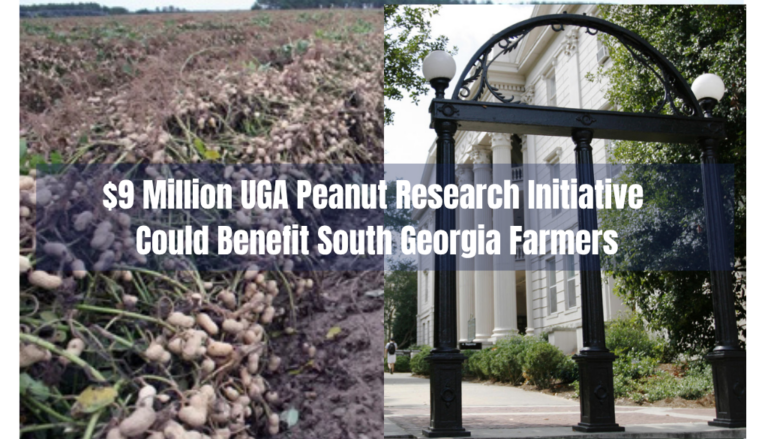 UGA Receives $9 Million for Peanut Research That Could Benefit South Georgia Farmers