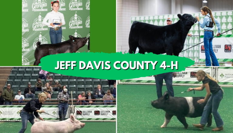 Jeff Davis 4-H Members Earn Top Honors at 2026 Georgia National Fair